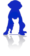 Pet Sitting